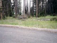 photos 2000-200900329
